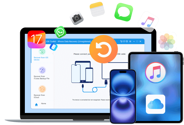 video merger feature4